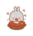 POPO Bunny（個別スタンプ：34）