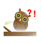 Owl Owl（個別スタンプ：1）