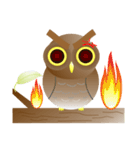 Owl Owl（個別スタンプ：3）