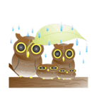 Owl Owl（個別スタンプ：6）