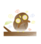 Owl Owl（個別スタンプ：8）