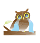 Owl Owl（個別スタンプ：10）