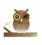 Owl Owl（個別スタンプ：11）