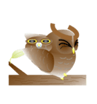 Owl Owl（個別スタンプ：36）