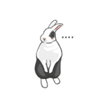 Royal College of Rabbit（個別スタンプ：9）