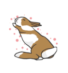 Royal College of Rabbit（個別スタンプ：37）