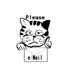 どらきち登場（個別スタンプ：38）