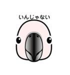 birdmaniaことりのスタンプ（個別スタンプ：4）