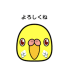 birdmaniaことりのスタンプ（個別スタンプ：5）