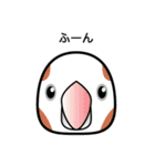 birdmaniaことりのスタンプ（個別スタンプ：6）