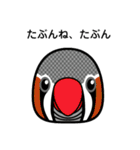 birdmaniaことりのスタンプ（個別スタンプ：10）
