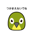 birdmaniaことりのスタンプ（個別スタンプ：12）