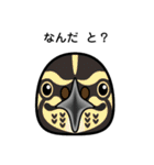 birdmaniaことりのスタンプ（個別スタンプ：15）