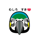 birdmaniaことりのスタンプ（個別スタンプ：18）