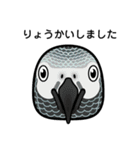 birdmaniaことりのスタンプ（個別スタンプ：19）