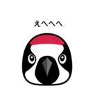 birdmaniaことりのスタンプ（個別スタンプ：24）
