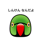 birdmaniaことりのスタンプ（個別スタンプ：26）