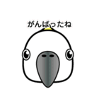 birdmaniaことりのスタンプ（個別スタンプ：28）