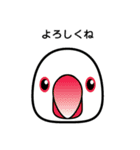 birdmaniaことりのスタンプ（個別スタンプ：29）