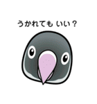 birdmaniaことりのスタンプ（個別スタンプ：30）
