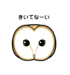 birdmaniaことりのスタンプ（個別スタンプ：31）