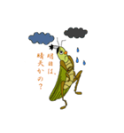 トノサマバッタ（個別スタンプ：19）