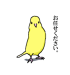 黄色いインコ（個別スタンプ：3）