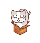 CAT BOX（個別スタンプ：8）