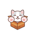 CAT BOX（個別スタンプ：11）