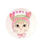 ももたんたん（個別スタンプ：3）