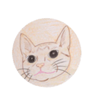 ももたんたん（個別スタンプ：13）