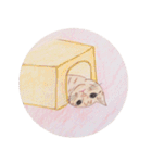 ももたんたん（個別スタンプ：16）