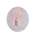 ももたんたん（個別スタンプ：35）