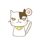 cute cat Gosili（個別スタンプ：13）