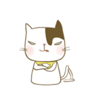 cute cat Gosili（個別スタンプ：20）