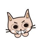 Buck teeth cats（個別スタンプ：4）