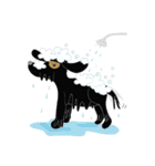 Sitang ＆ Bobo（個別スタンプ：16）
