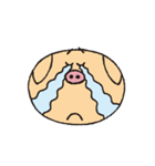 まんパクキャラクター「ぽぅ」（個別スタンプ：12）