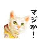 猫侍 久太郎と玉之丞（個別スタンプ：22）