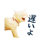 猫侍 久太郎と玉之丞（個別スタンプ：39）