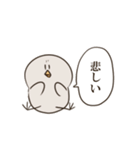 真顔のピーちゃん（個別スタンプ：1）