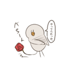 真顔のピーちゃん（個別スタンプ：24）