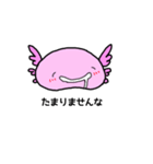 うぱろう（個別スタンプ：13）