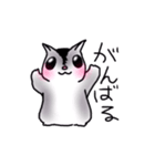 ももんがらいふ（個別スタンプ：3）