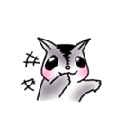 ももんがらいふ（個別スタンプ：37）