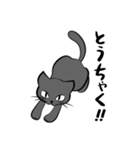 黒猫クロ（個別スタンプ：20）