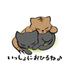 黒猫クロ（個別スタンプ：36）