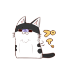 はちわれねこ（個別スタンプ：5）