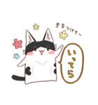 はちわれねこ（個別スタンプ：13）