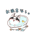 はちわれねこ（個別スタンプ：38）